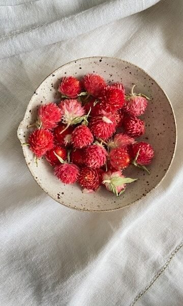 Flor Perpétua Morango - 20g Portugal 2024